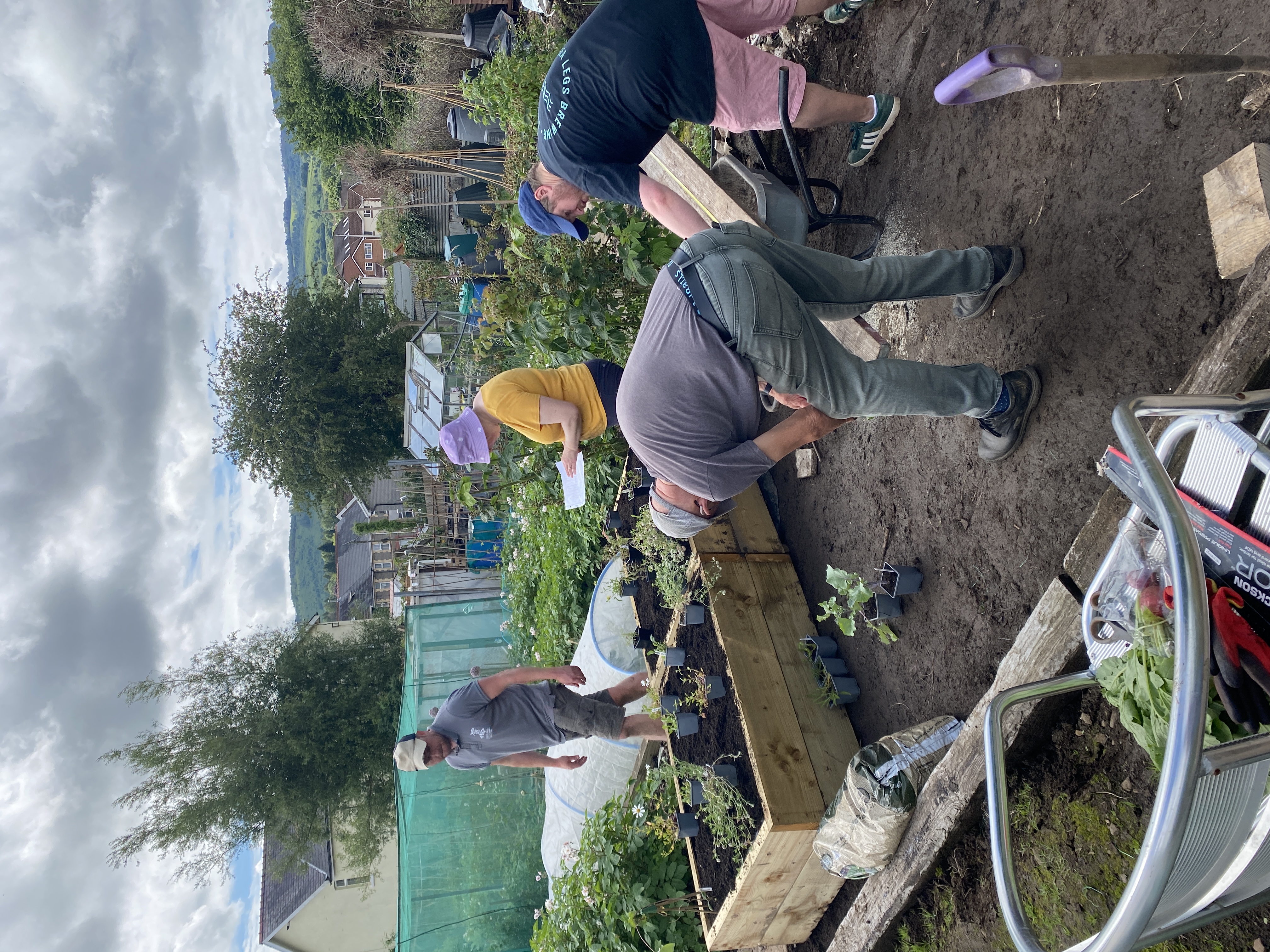 A volunteer saws a piece off a scaffold plank, with the new raised beds in the background, potted wildflower plants arranged in their planting positions on top of the compost.